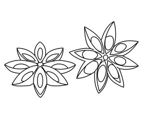 Star anise on white background. Culinary ingredient for baking and drinks, oriental spice badian, popular spice. Top view. vector illustration. coloring page