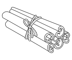 Cinnamon sticks isolated on white. Christmas spices cinnamon. Vector illustration. coloring page