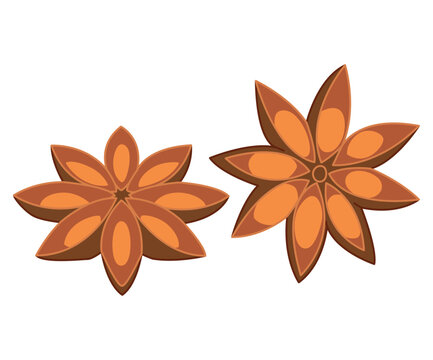 star anise spice brown orange isolated clip art preview