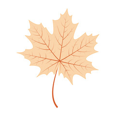 Isolated colored autumn seasonal leaf icon Vector