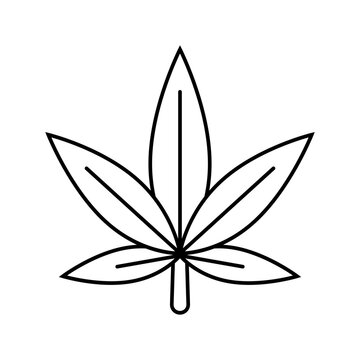 cannabis plant leaf weed hemp line icon vector. cannabis plant leaf weed hemp sign. isolated contour symbol black illustration