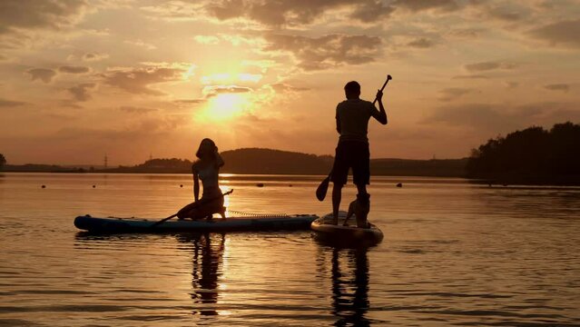 silhouette of couple paddle boarding at lake during sunset together with pug dog. Concept of active family tourism and supping with pets. Brave Dog Standing on SUP Board and enjoy vacation