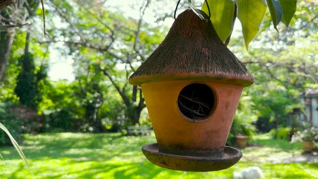 Clay birdhouse hanging in the tree. Birds singing in the background.