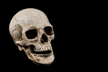 Profile View of Skull Decoration on Black Background