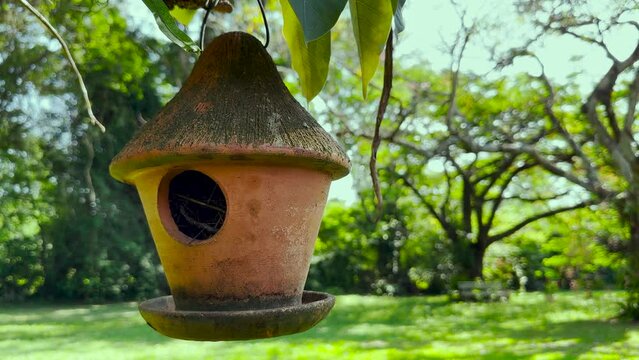 Clay birdhouse hanging in the tree. Birds singing in the background.