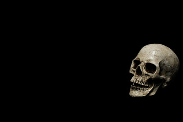 Profile View of Skull Decoration on Black Background