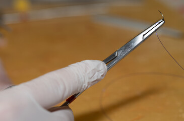 Close-up of a hand with a medical glove holding a needle holder. A surgical needle with thread is clamped in the needle holder.