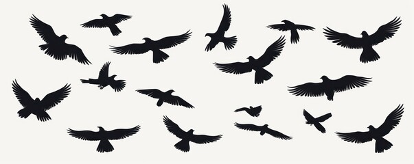 Set of black flying bird silhouettes on transparent background 