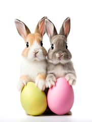 Two cute bunnies with colored Easter eggs on white background