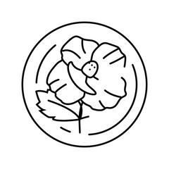 hibiscus cosmetic plant line icon vector. hibiscus cosmetic plant sign. isolated contour symbol black illustration