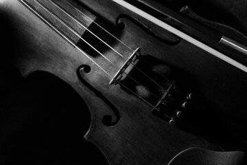 Close view of a violin strings and bridge
