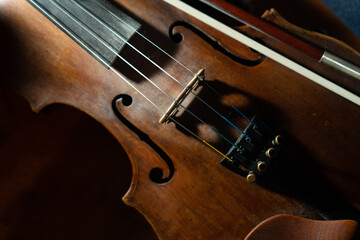 Close view of a violin strings and bridge
