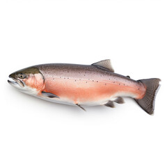 Salmon fish isolated on white without shadow. generative ai