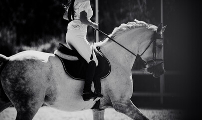 A black and white image of a rider riding a white horse at an equestrian competition. Equestrian sports and horse riding. The horse gallops. Jumping competition. - obrazy, fototapety, plakaty