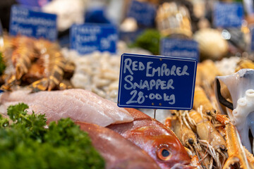 red emperor snapper fish with parsley and ice on a counter for sale