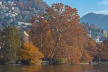 Lakefront of Parco Ciani in Lugano, Ticino, Switzerland. Majestic plane trees in autumn colors. Resorts and houses in the background. Concept about tranquility and relaxation