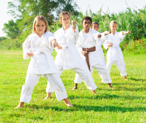 Naklejka na ściany i meble Group of young children doing karate kicks during karate class in summer park