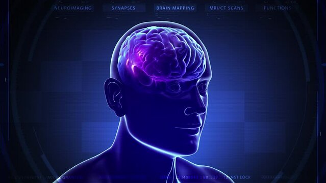 3D Animation of Human Head Rotating. Technology Interface. Electrical Impulses Shinning inside the brain. Synapse, Neuroimaging, Brain Mapping