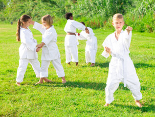 Naklejka na ściany i meble Confident preteen boy practicing karate movements during group class on green lawn on summer day..