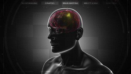 Futuristic Technological Interface Analyzing Human Brain Anatomy and Morphology. Medical Profile of Patient Showing, Electrical Impulses Shinning inside the brain. Synapse, Neuroimaging, Brain Mapping
