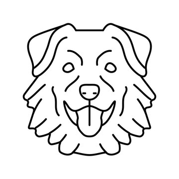 australian shepherd dog puppy pet line icon vector. australian shepherd dog puppy pet sign. isolated contour symbol black illustration