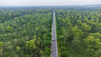 Aerial top down 4k view of white car driving on country road in forest in the evening at twilight. Cinematic drone shot flying over gravel road in tea plantation at west bengal, India. 