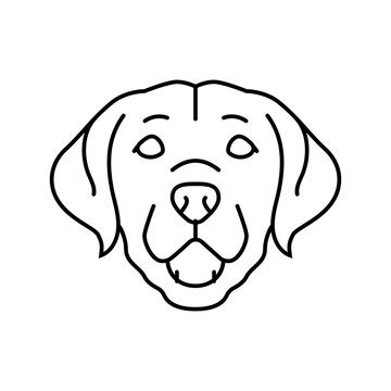 labrador retriever dog puppy pet line icon vector. labrador retriever dog puppy pet sign. isolated contour symbol black illustration