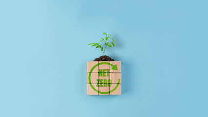 The tree grows on a square block of wood ,Concept image of a campaign to reduce the amount of...