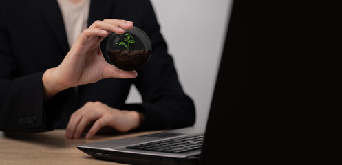 Businessman holds a crystal ball with a seedling growing inside ,Concept image of a campaign to...