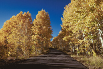 autumn sunset in utah