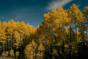 autumn sunset in utah