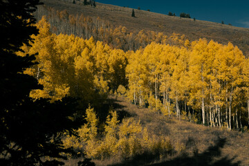 autumn sunset in utah