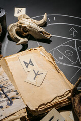 Witch's magic attributes with skull of sheep, book and runes on dark table