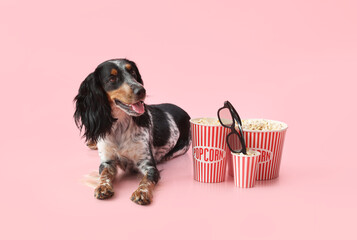 Cute cocker spaniel dog with buckets of popcorn and 3D cinema glasses lying on pink background