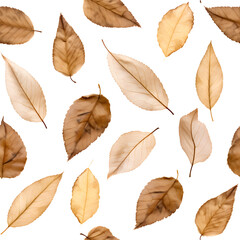 Obraz premium seamless dry leaves texture pattern isolated on transparent background - design element PNG cutout
