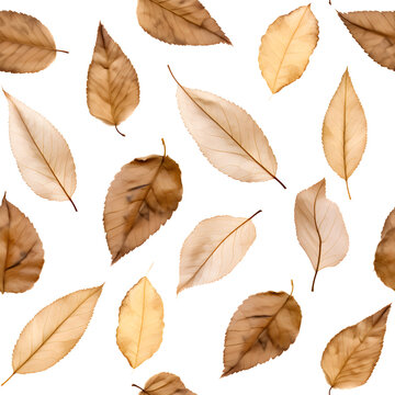 seamless dry leaves texture pattern isolated on transparent background - design element PNG cutout