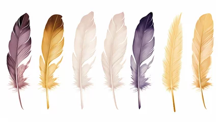 Rolgordijnen Veren set collection of feathers isolated on a background for design and overlay