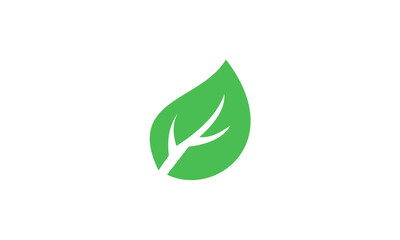 green leaf icon