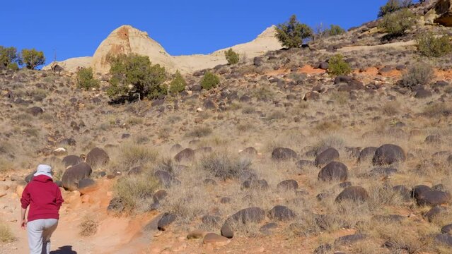 Establishing shot of female tourist at mountains in Hickman Natural Bridge Trail, Capital Reef National Park, Utah, North America. ProRes 422 HQ.