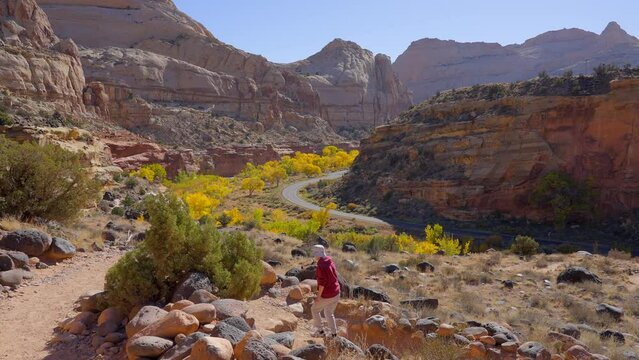 Establishing shot of female tourist at mountains in Hickman Natural Bridge Trail, Capital Reef National Park, Utah, North America. ProRes 422 HQ.