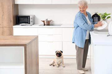 Senior woman with pug dog washing dishes in kitchen