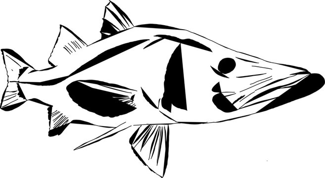Modern Outline Of A Snook In Action