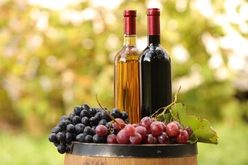 Obraz premium Delicious wines and ripe grapes on wooden barrel outdoors, space for text