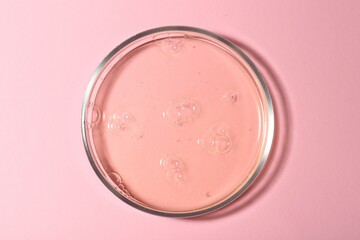 Petri dish with liquid sample on pink background, top view