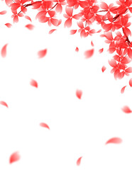 Sakura Bloom Frame. Flower Blossom Border. Floral Spring Background