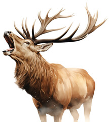 Watercolor Image of  Bull Elk, isolated on white . AI generated Illustration. - 691753238