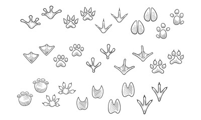 animal footprints collection