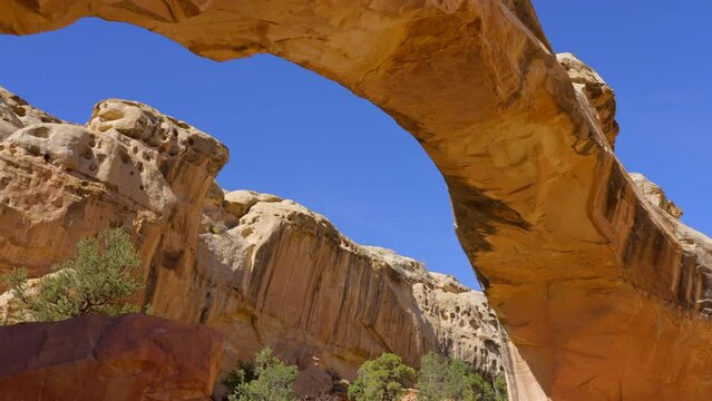 Establishing shot of mountain trail with red rocks in Hickman Natural Bridge Trail, Capital Reef National Park, Utah, North America. ProRes 422 HQ.