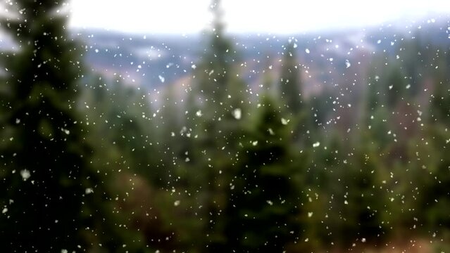 Falling snow on background of green forest