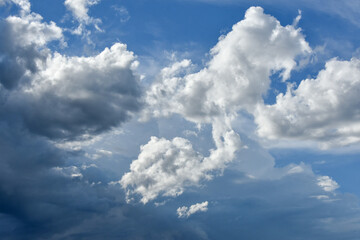 Fototapeta na wymiar 雨が降る前の夏の雲